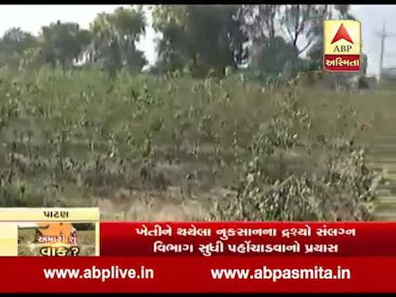 ઉત્તર ગુજરાતના કોંગ્રેસના ધારાસભ્યોએ ખેડૂતોને નુકસાન મુદ્દે કરી રજૂઆત, જુઓ ગ્રાઉન્ડ રિપોર્ટ