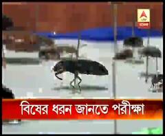 বিষক্রিয়াতেই বৈদ্যবাটির মহিলার মৃত্যু, বিষের ধরন জানতে টক্সিকোলজি পরীক্ষা 