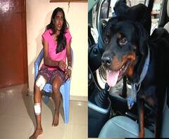 Dog Attack | बाळाला वाचवताना कुत्र्यानं महिलेचे लचके तोडले | नागपूर | ABP Majha