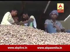 રાજકોટ: માર્કેટિંગ યાર્ડમાં મગફળીની રેકોર્ડ બ્રેક આવક, ખેડૂતો ઓછા ભાવે વેચવા મજબૂર, જુઓ વીડિયો
