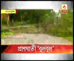 বুলবুলের তাণ্ডবে প্রাণ হারালেন বসিরহাটের ৫ জন 