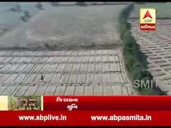 બનાસકાંઠાઃ સરહદી વિસ્તારમાં તીડના આતંકના અવકાશી દ્રશ્યો આવ્યા સામે