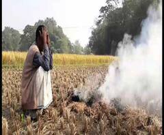 Reporter Stories: নারাণগড়ে কৃষকের ধানের খেতে আগুন লাগিয়ে দেওয়ার অভিযোগ বিজেপি আশ্রিত দুষ্কৃতীদের বিরুদ্ধে