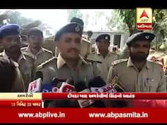 અમરેલીઃ ખેત મજૂરને મોતને ઘાટ ઉતારનાર સિંહ પુરાયો પાંજરે, જુઓ વીડિયો