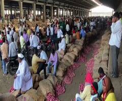 Onion | सोलापुरात कांद्याच्या लिलावादरम्यान गोंधळ, लिलाव बंद पाडला | ABP MAJHA