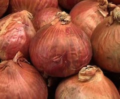 পেঁয়াজের দাম আকাশছোঁয়া! তুরস্ক থেকে পেঁয়াজ আমদানি করছে কেন্দ্র