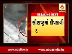 સૌરાષ્ટ્રમાં દીપડાની દહેશત યથાવત, દ્ધારકામાં એક કંપનીના CCTVમાં કેદ થયો દીપડો