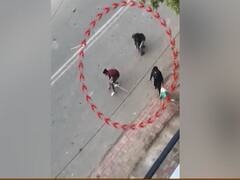 CAA Protest: नागरिकता कानून पर भड़की आग पर राजनीति कर रहा है विपक्ष? देखिए ये रिपोर्ट