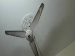 Delhi-NCR में महसूस किए गए भूकंप के झटके, Afghanistan में Kabul के पास था केंद्र