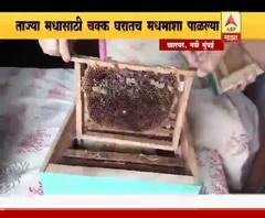 Honey bee | ताज्या मधासाठी चक्क घरातच मधमाशा पाळल्या | स्पेशल रिपोर्ट | ABP Majha