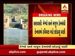 અરવલ્લી: મેશ્વો અને માજુમ ડેમમાંથી કેનાલમાં રવિપાક માટે છોડાયુ પાણી, જુઓ વીડિયો