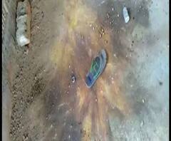 Reporter Stories: দঃ চব্বিশ পরগনায় বিস্ফোরণে আহত তিন স্কুল ছাত্র