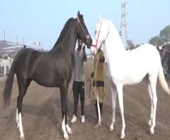 Rural News | माझं गाव माझा जिल्हा | राज्याच्या कानाकोपऱ्यातील बातम्यांचा आढावा | ABP Majha