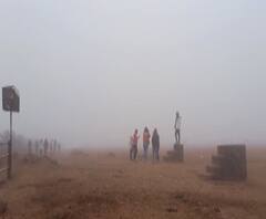 Mahabaleshwar | महाबळेश्वरमध्ये धुक्याची चादर, 2 दिवसांपासून वातावरणात बदल | ABP Majha