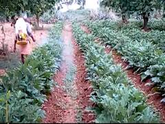 किसानों को प्रधानमंत्री से मिला भरोसा कौन तोड़ रहा है? देखिए रिपोर्ट Ghanti Bajao