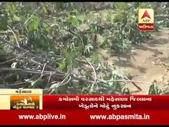 કમોસમી વરસાદથી મહેસાણા જિલ્લાના ખેડૂતોને વ્યાપક નુકસાન, જુઓ વીડિયો