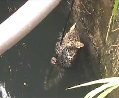 State News | राज्यातील बातम्यांचा वेगवान आढावा | बातम्या सुपरफास्ट | ABP Majha