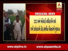 તીડ પ્રભાવિત વિસ્તારોની બનાસકાંઠાના કલેકટરે મુલાકાત લઈ શું કહ્યું, જુઓ વીડિયો