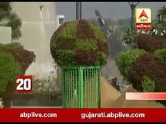 અમદાવાદમાં ચાર જાન્યુઆરીથી શરૂ થશે ફ્લાવર શો, મુખ્યમંત્રી રૂપાણી કરશે ઉદઘાટન