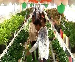 Oxygen parlour | ऑक्सिजन पार्लर असणारं नाशिक देशात पहिलं | ABP Majha 