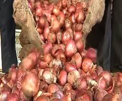 Onion Rates High | एपीएमसा मार्केटला कांद्याची आवक घटली, नवीन कांदा 100रु, जुना कांदा 120 रुपयांवर | ABP Majha 