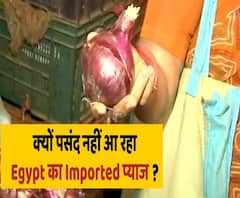 Mumbai: के बाजारों में पहुंचा Egypt का Imported प्याज, लोगों को नहीं आ रहा है रास ? | ABP Uncut