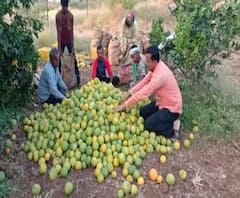 Rural News | माझं गाव माझा जिल्हा | गावाकडच्या बातम्यांचा वेगवान आढावा | ABP Majha 