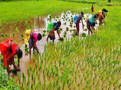 માવઠાએ ખેડૂતોની સાથે-સાથે વેપારીઓને પણ રડાવ્યા, યાર્ડમાં રહેલા બધા બારદાન પલળી ગયા, જુઓ વીડિયો