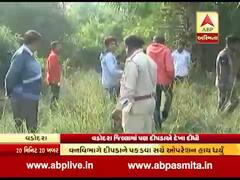 વડોદરા જિલ્લામાં પણ દીપડાએ દેખા દીધી, ખેડૂતોમાં ડરનો માહોલ, જુઓ વીડિયો