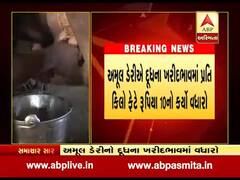 આણંદ: અમૂલ ડેરીએ દૂધના ખરીદભાવમાં પ્રતિ કિલો ફેટ રૂપિયા 10નો વધારો કર્યો, જુઓ વીડિયો