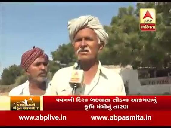 તીડના આક્રમણ મુદ્દે બનાસકાંઠાના ખેડૂતો સાથે ખાસ વાત