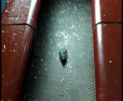 বহড়ুতে শিয়ালদা-লক্ষ্মীকান্তপুর লোকালে ট্রেন লক্ষ্য করে পাথর ছুড়ল বিক্ষোভকারীরা