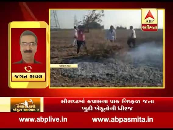 જામનગર: પાક નિષ્ફળ જતાં ધીરજ ખુટી, હરિપર ગામે 20 વિઘા પરનો કપાસ ખેડૂતે સળગાવ્યો, જુઓ વીડિયો