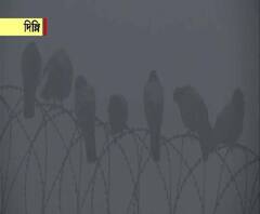 দিল্লিতে ঊর্ধ্বমুখী পারদ, সর্বনিম্ন তাপমাত্রা ৪.৮ ডিগ্রি সেলসিয়াস