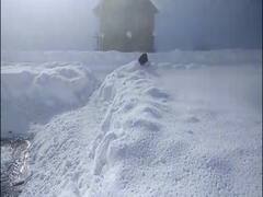 North India facing unprecedented cold wave, no relief soon