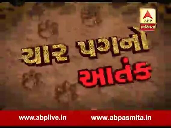 સુરેન્દ્રનગરઃ ચોટીલામાં ખેતરમાં દીપડાએ વાછરડાનું કર્યું મારણ, જુઓ વીડિયો