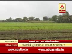 ગુજરાતમાં 94.57 ટકા રવિ વાવેતર સંપન્ન, ઉત્તર ગુજરાત મોખરે, જુઓ વીડિયો