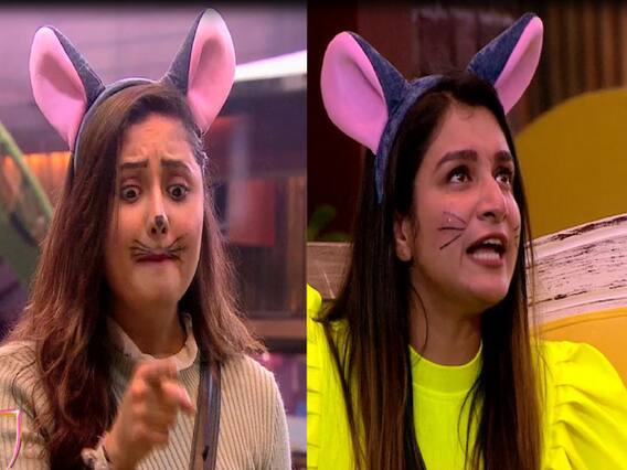 Bigg Boss 13: CAPTAINCY टास्क के दौरान आपस में भिड़ीं Shefali Bagga और Rashami Desai, Paras ने तोड़ा Shehnaaz का दिल!