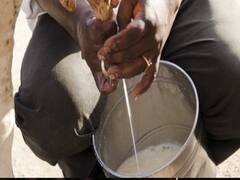 महाराष्ट्र में भी बढ़ेंगे दूध के दाम