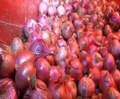 বেলাগাম পেঁয়াজের দাম, কলকাতার বাজারে কেজি প্রতি দেড়শো টাকা