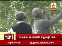 મુદ્દાની વાતઃ નવસારીમાં ચીકુ પકવતા ખેડૂતો ચિંતામાં, ભેજવાળા વાતાવરણથી નુકશાનની ભીતિ, જુઓ વીડિયો