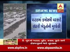 કમોસમી વરસાદથી પાટણમાં ઘઉં, એરંડા સહિતના પાકને મોટુ નુકશાન, જુઓ વીડિયો