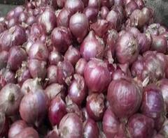 Onion Robbery | मुंबईत 21 हजारांच्या काद्यांवर चोरट्यांचा डल्ला | ABP Majha