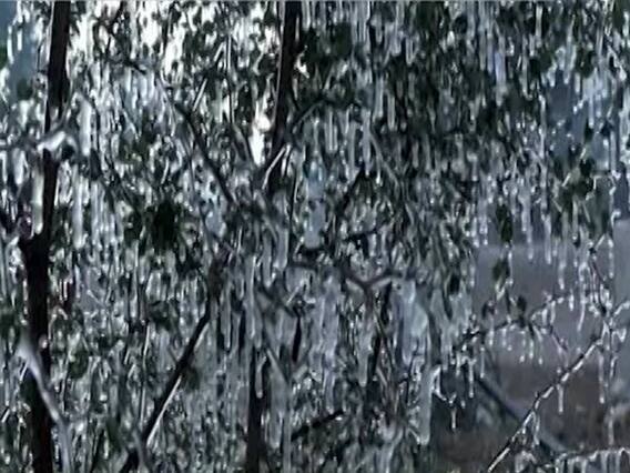 राजस्थान का रेगिस्तान बना बर्फिस्तान ! माउंट आबू में तापमान -3 डिग्री