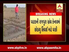 શિયાળુ પાકના વાવેતર માટે પાટણની બ્રાન્ચ કેનાલમાં પાણી છોડાયુ, જુઓ વીડિયો