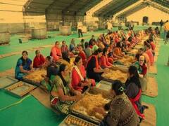 ઉંઝા લક્ષચંડી મહાયજ્ઞઃ મહોત્સવને થયેલી તૈયારીઓ મુદ્દે ખાસ અહેવાલ