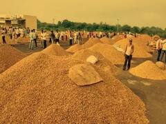 મુદ્દાની વાતઃ રાજકોટમાં ટેકાના ભાવે મગફળીની ખરીદી ધીમી ગતિએ ચાલતી હોવાની ફરિયાદ