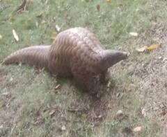 Rural News | माझं गाव माझा जिल्हा | गावाकडच्या बातम्यांचा वेगवान आढावा | ABP Majha