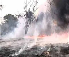 Reporter Stories: বাটানগরে পাইপের স্তুপে বিধ্বংসী আগুন