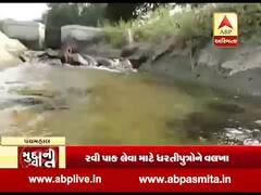 ABP News